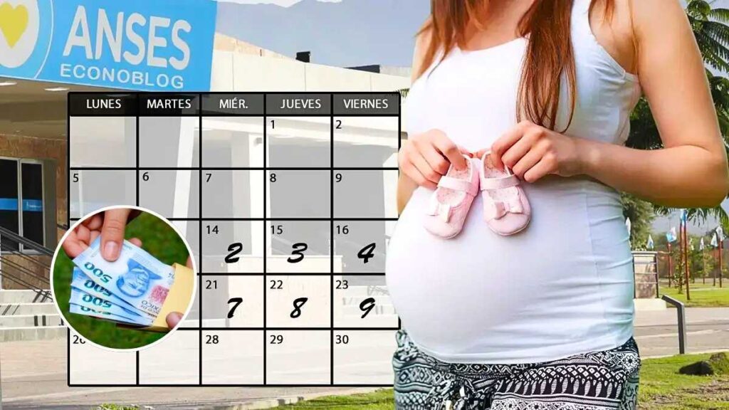 Asignación por embarazo enero 2026 fechas de cobro confirmadas requisitos y pasos para solicitar el beneficio