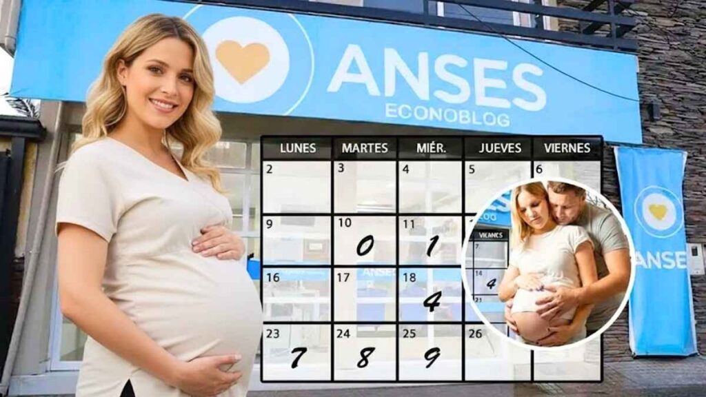 Todo sobre ANSES Econoblog 2026 beneficiarios confirmados fechas de cobro y bonos disponibles