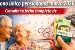 Bono único pensionados marzo 2026 guía completa de pagos y requisitos