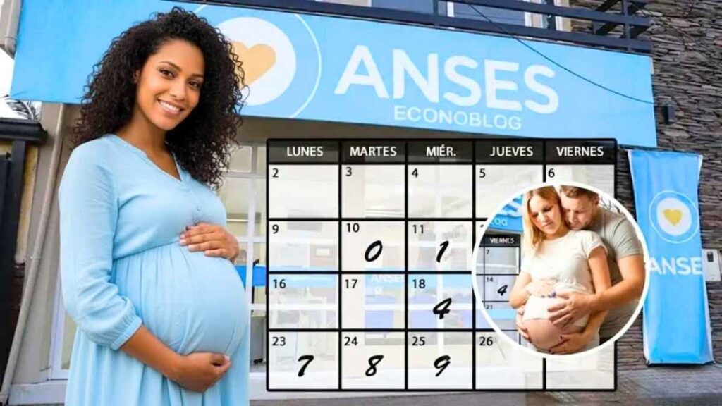 Beneficiarios ANSES 2026 requisitos pagos confirmados y entrega de bonos